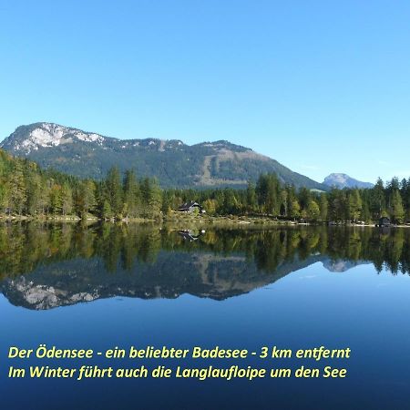 Ferienhaus Anke - Ausseerland Salzkammergut Pichl bei Aussee ภายนอก รูปภาพ