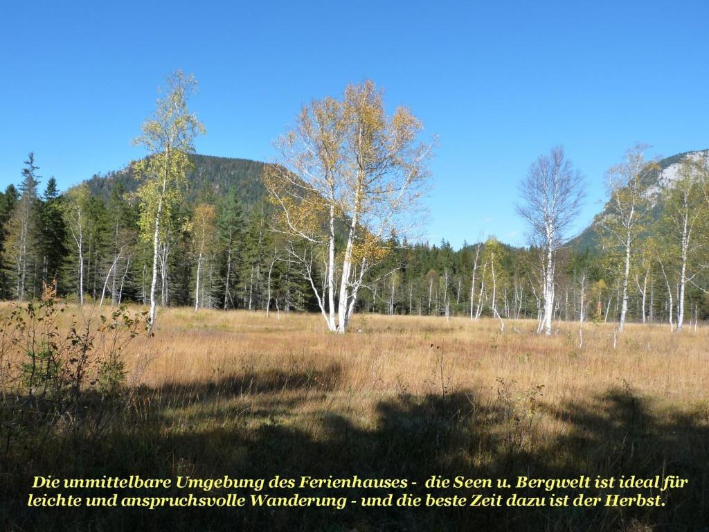 Ferienhaus Anke - Ausseerland Salzkammergut Pichl bei Aussee ภายนอก รูปภาพ