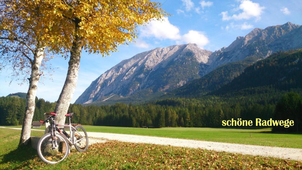 Ferienhaus Anke - Ausseerland Salzkammergut Pichl bei Aussee ภายนอก รูปภาพ