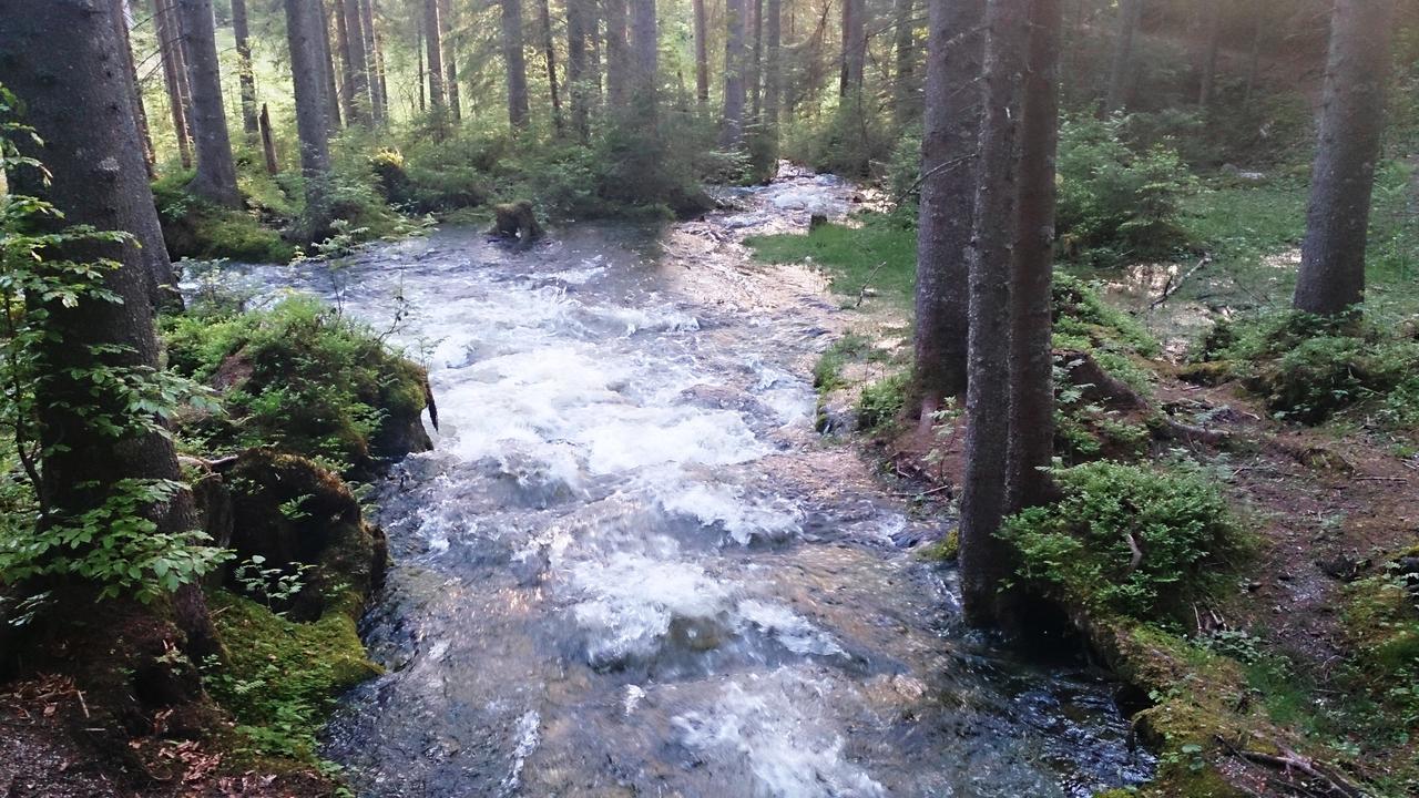 Ferienhaus Anke - Ausseerland Salzkammergut Pichl bei Aussee ภายนอก รูปภาพ